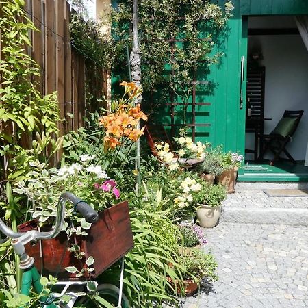 Apartman Horšovský Týn מראה חיצוני תמונה